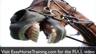 Head Tossing Tamed - Once and for All!