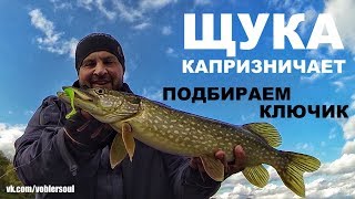 Ловля пассивной щуки. Поиск щуки осенью. Джиг-спиннинг. Рыбалка 2017.