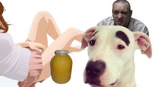 ПОШЛЫЙ АНЕКДОТ ПРО МЁД, ДОГА И СЛУЧАЙНЫЕ СВЯЗИ | АНЕКДОТЫ С МАТОМ 18+ от Дениса Пошлого