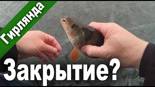 Две трудовые рыбалки на "Соснах" с гирляндой. Конец сезона?...