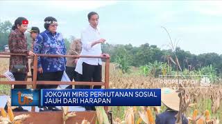 Jokowi Miris Perhutanan Sosial Jauh Dari Harapan