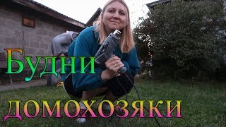 ВЛОГ: ПРОГУЛКА ПО ДЕРЕВНЕ