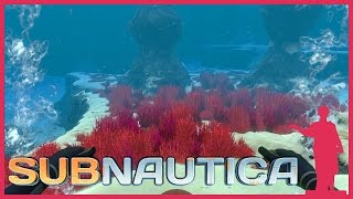Subnautica - Серебряная Долина