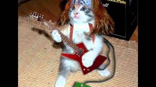 Fotos graciosas de animales