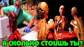 Сколько стоит человек в DARKNETE?(на органы)