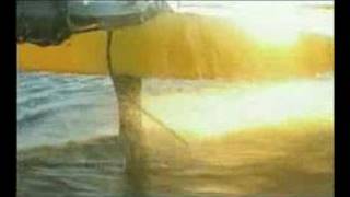 Windrider Rave Hydrofoil Sailing