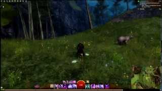 GW2 Diving Locations, Pt 2   Kryta