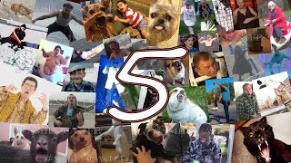 #5 ? МЕМАСИКИ ? 5 МИНУТ ? ПРИКОЛЫ / ВИДЕО МЕМЫ / MEMES / JOKES / VIDEO MEMES
