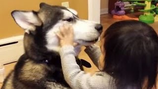 【犬と赤ちゃん】楽しくおしゃべり♪え!?言葉が通じてる!!