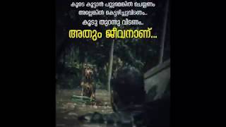 Koode kootanpattumenkil koottanam athum jeevananu