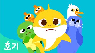 바다 동물 지켜요 | 끙끙 아픈 바다 동물들을 지켜줘 | 알쏭달쏭 호기심송 | 교육 동요 | 과학 동요 | 호기! 핑크퐁 - 놀면서 배워요