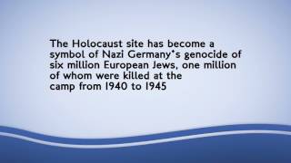 Naked men and women slaughter a sheep at Auschwitz camp