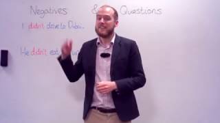 Past Simple-Negative & Questions (Action Verbs)