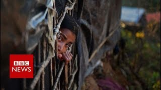 Myanmar Rohingya: Army 'must face genocide charges' BBC News