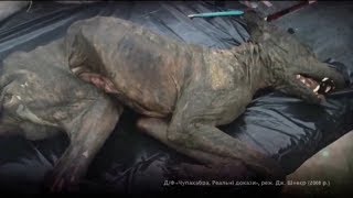 Существует ли Чупакабра на самом деле? – Секретный фронт, 14.06.2017