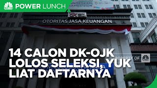14 Calon DK-OJK Lolos Seleksi Jokowi, Ini Daftarnya