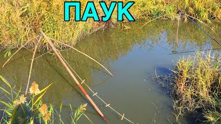 РЫБАЛКА на ПАУК, ловля ТОЛСТОЛОБА на ПОДЪЁМНИК