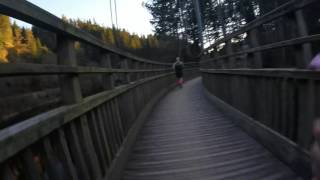 Kielder Dark Skies 26.5 2017