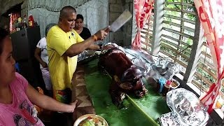 Lechon Dinner in the Province - Philippines Expat