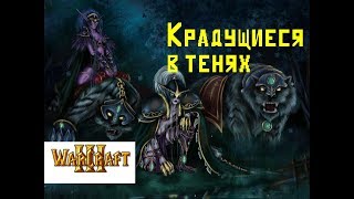 "Крадущиеся в тенях". Дополнительная кампания для WarCraft 3