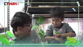 CTWANT 暖流人間》青蛙爸爸為內向子闢「蛙樂園」　70坪房子養400蛙