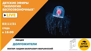 Детский эфир "Долгожители" курса "Экология беспозвоночных" Вадима Марьинского