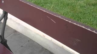 4K SONY XPERIA Z2 Sample Video - DIRECT UPLOAD