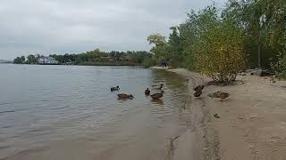 Запорожье вода и свет есть 19.10.2022