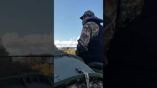The best striper bass bait for winter time Fishing Lake Cumberland