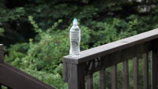 Sog Team Leader Fixed Blade vs Water Bottle