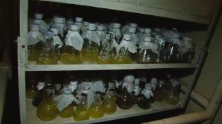 Российские биологи выращивают лекарственные растения в пробирках