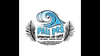 2017 PALI PRO REPORT