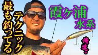 霞ヶ浦水系★イチバン釣ってるテクを公開する！