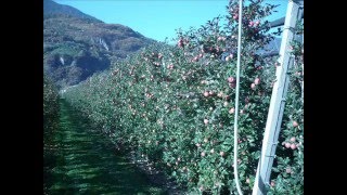 Tesimo,Prissiano la valle dei castelli