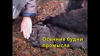 Осенние будни промысла