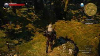 witcher3 Велен Деревня Большие сучья Дикое сердце
