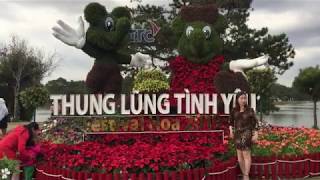 Festival Hoa Đà Lạt-Du khách đến chiêm ngưỡng chụp ảnh lưu niệm -P 4 | Thao Sophia