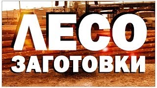 Галилео. Лесозаготовки