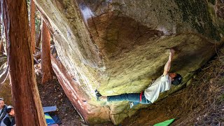 【恵那】オーグル ５段(Ogle 8B+)