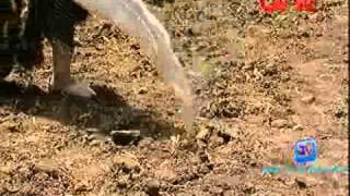 Jai Jai Jai Bajarangbali   6th July 2011 Video Watch Online P2 wmv