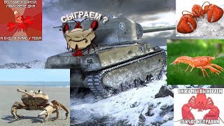 ► РАКИ ПРОТИВ СТАТИСТОВ●В WORLD OF TANKS ●