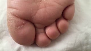 Sophie's Sleepy Feet