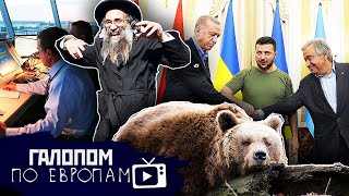 Медвежьи объятия // Галопом по Европам #770