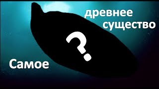 Самое старое животное на планете?