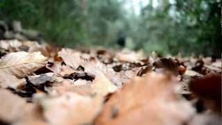 AS Film Studies - Short Film - Motion