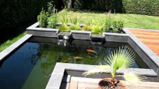 Modern Koi Pond