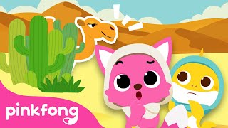 ¿Qué Ves? Juguemos al Veo, Veo en el Desierto | Juego Infantil | Pinkfong Baby Shark en español