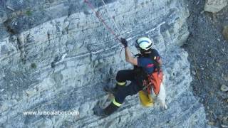 Espectacular rescate por @BomberosBizkaia de perro caído acantilado de Barrika desde 60 metros.