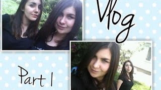 VLOG: Поход ночью на кладбище. Тигр. Семейные драмы. Как я снимаю видео. Спойлеры. Часть 1.