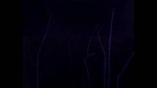 Clair Obscur - Czarin (live in Paris, 1986)